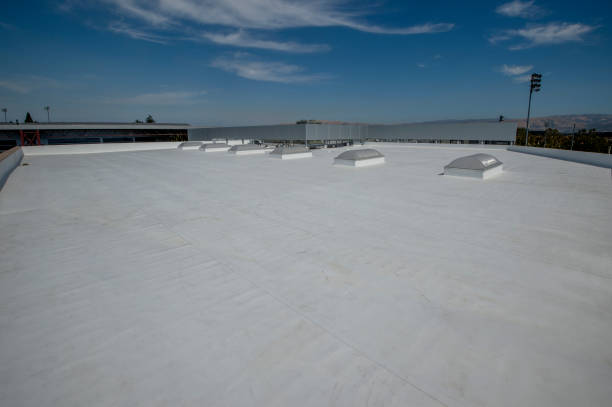 Best Metal Roofing Installation  in South San Francisco, CA